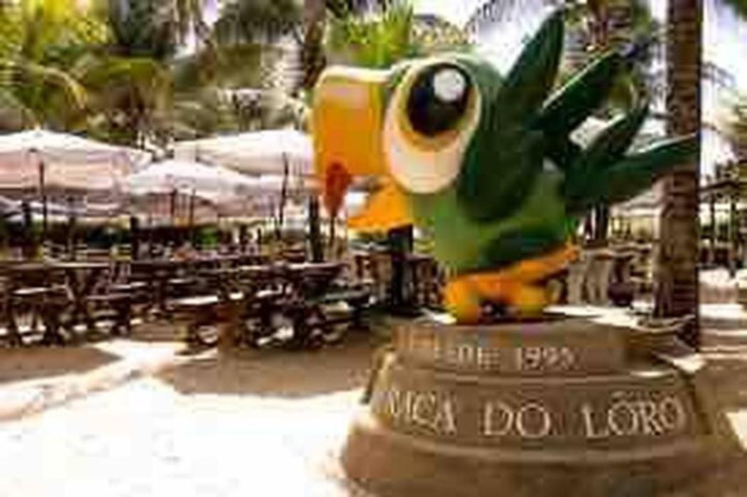 Pe Na Areia Vista Total Mar - O Paraiso E Aqui! 살바도르 외부 사진
