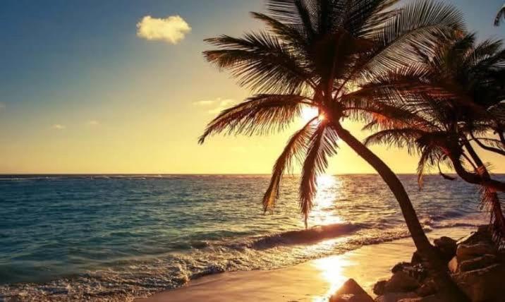 Pe Na Areia Vista Total Mar - O Paraiso E Aqui! 살바도르 외부 사진